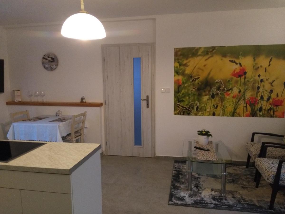 Apartmán GUTINO Ceska Trebova Kültér fotó